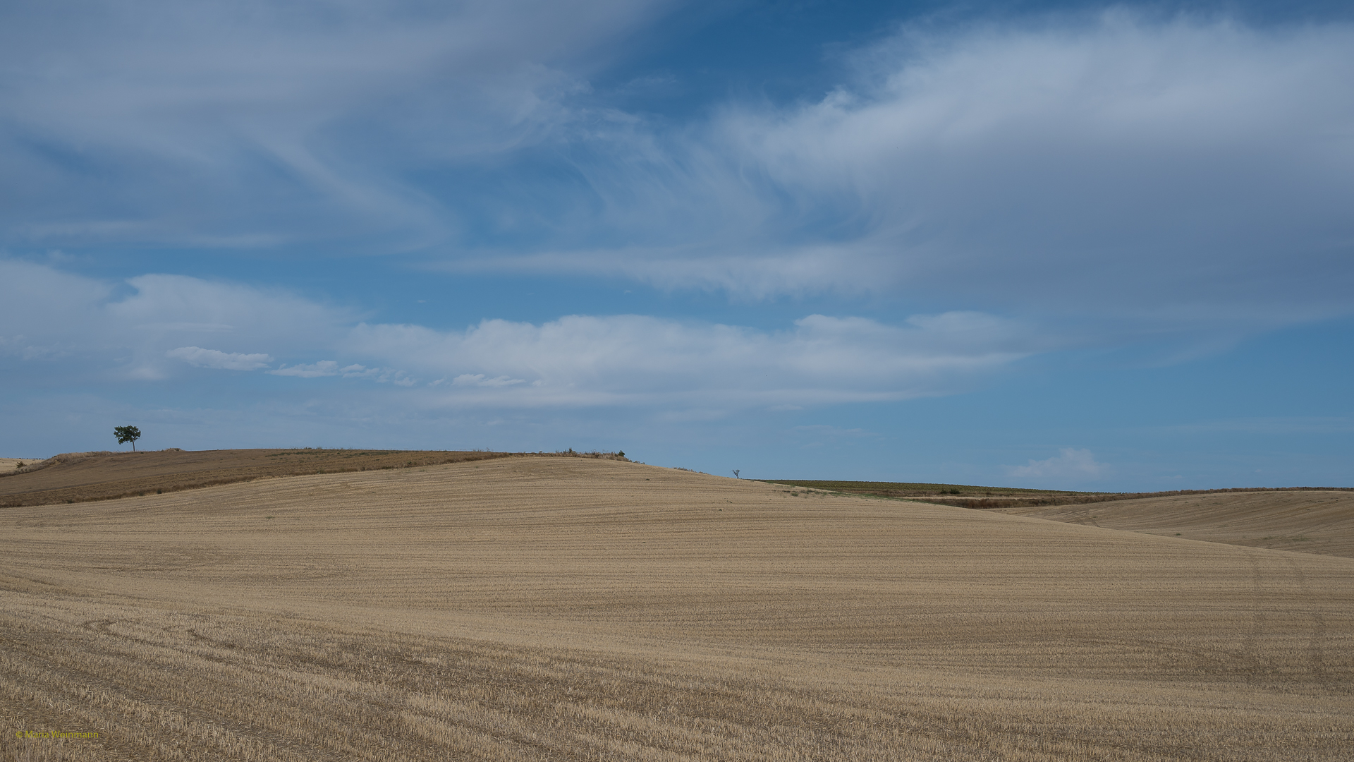 ... und dort am Horizont der Baum ...