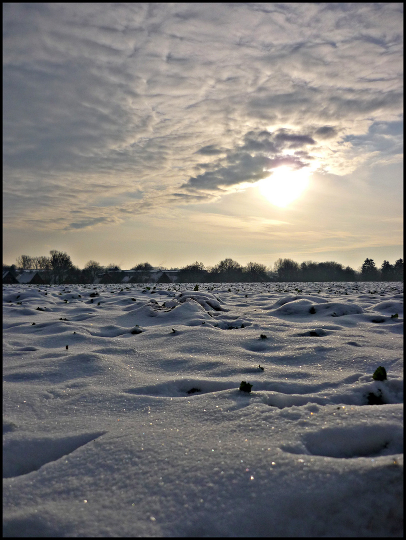 .Und dräut der Winter noch so sehr mit trotzigen Gebärden; und streut er Eis ...