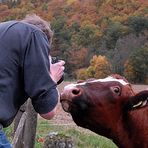 Und Du hast wirklich meinen Bullen gefragt