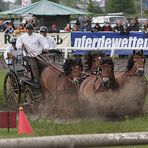 ... und durch gehts im vollen Galopp....