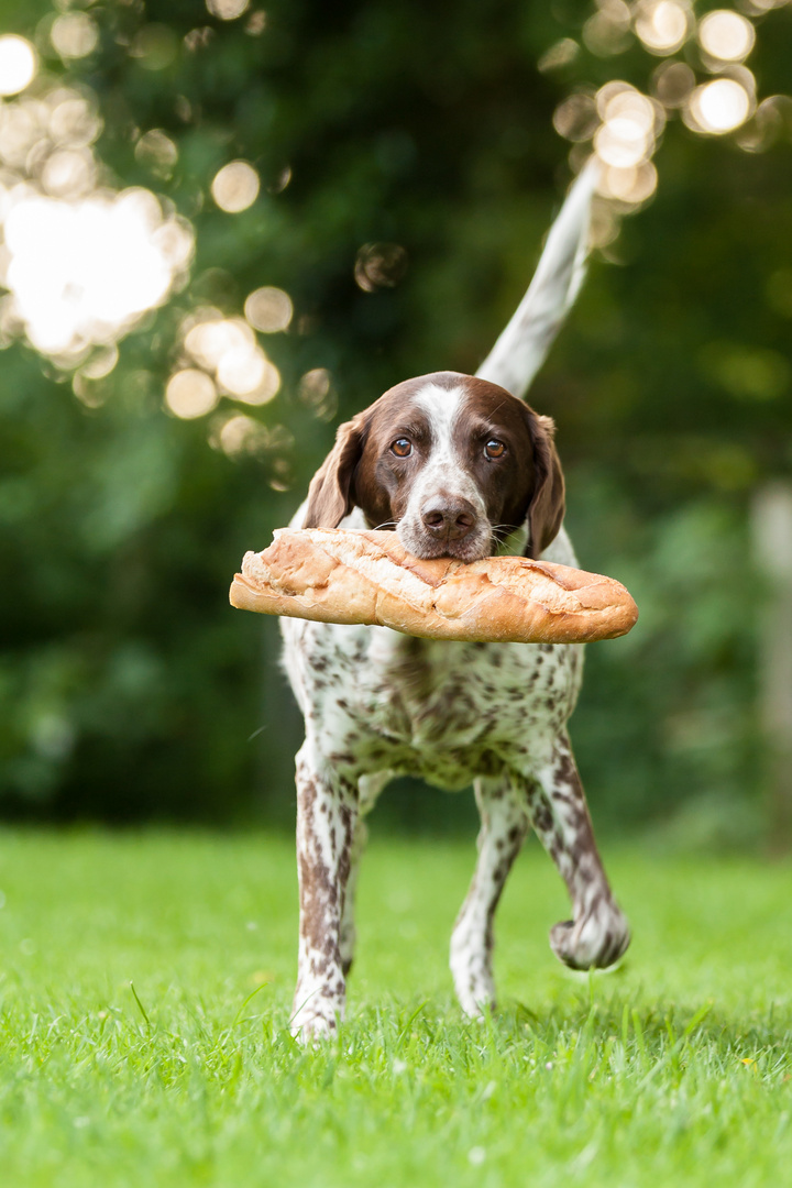 ...und ein Baguette