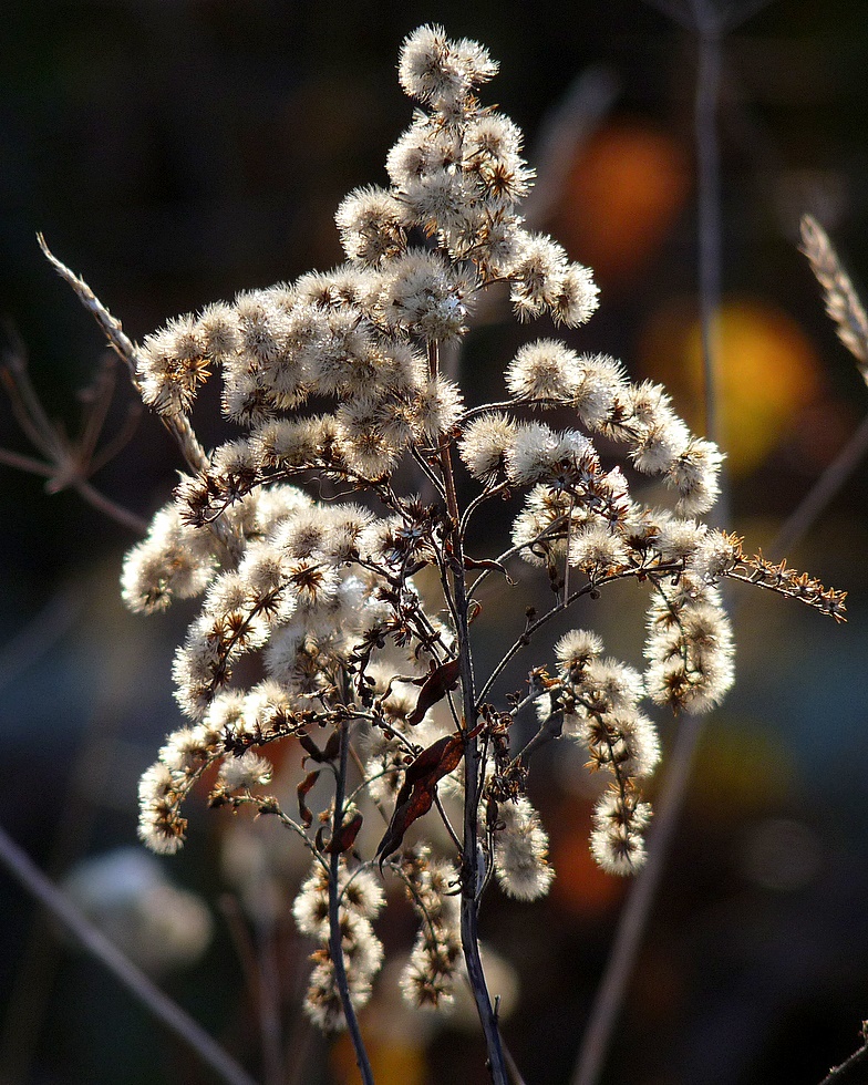 . . ". . und ein bisschen Sonne". .