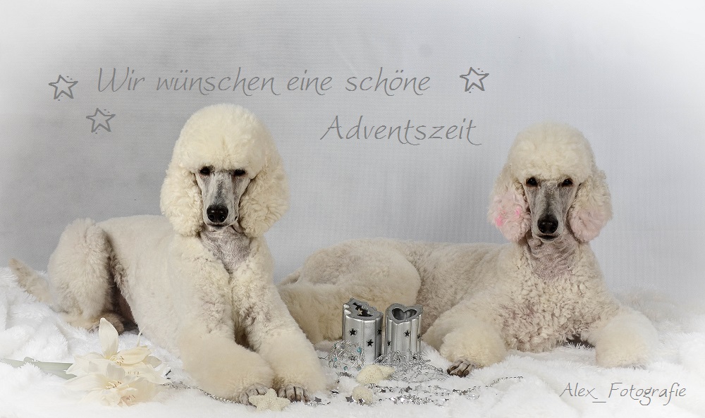 ...und ein Frohes Weihnachtsfest, wünschen Kitty und Wynonna