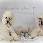 ...und ein Frohes Weihnachtsfest, wünschen Kitty und Wynonna