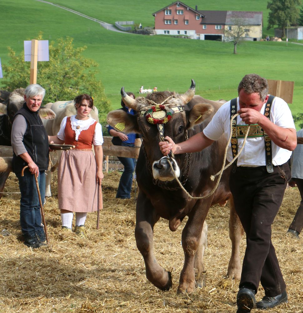 und ein Prachtsmuni gehört auch dazu !