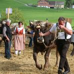 und ein Prachtsmuni gehört auch dazu !