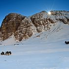 Und ein Sternchen gehört auch zur Fototour.....