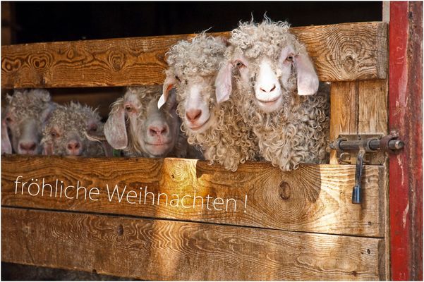 und einen guten start in ein gesundes 2024