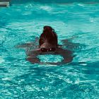 Und einmal eintauchen ….