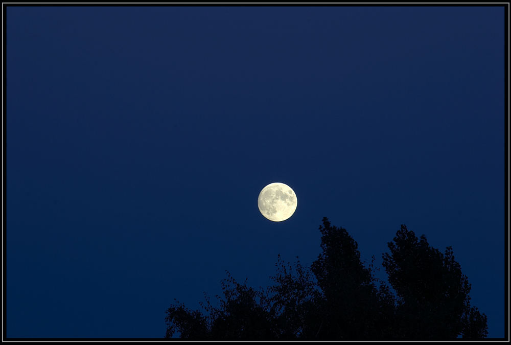 Und einmal im Monat grüßt der Vollmond