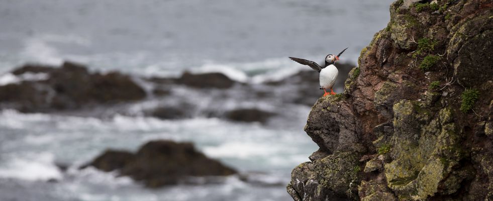 ... und eins und zwei und drei und vier...