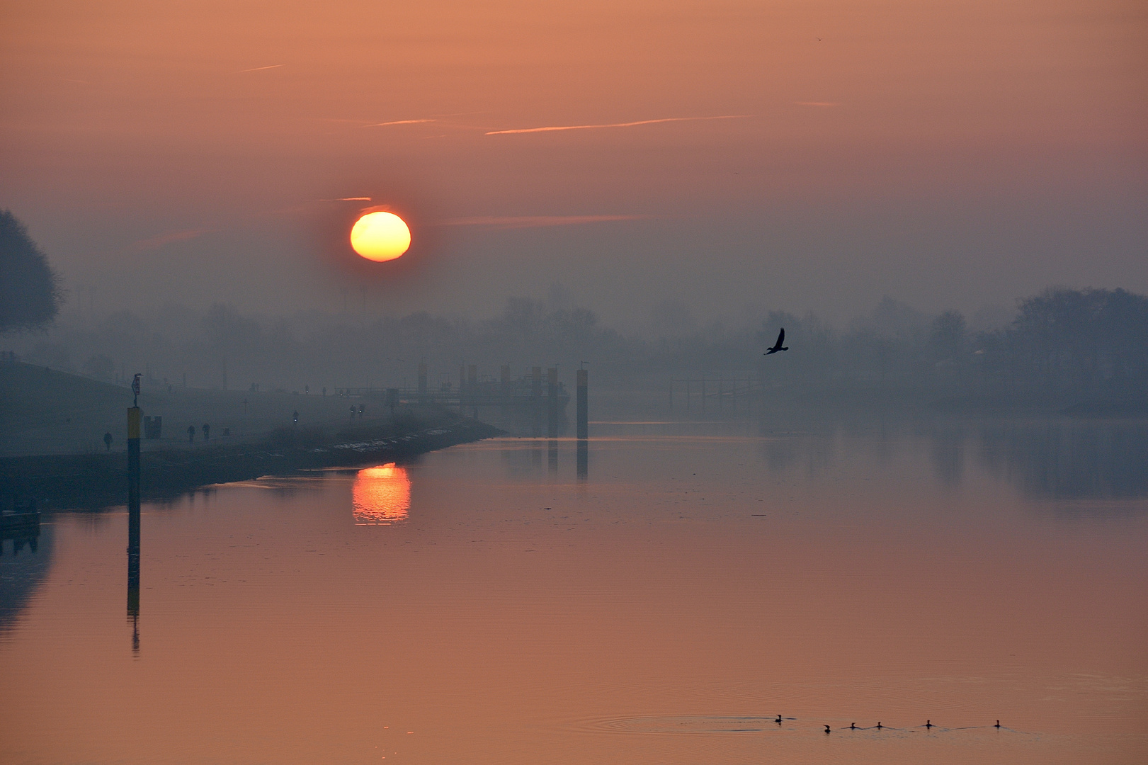 Und einsam dreht er seine Runde um die Morgensonne