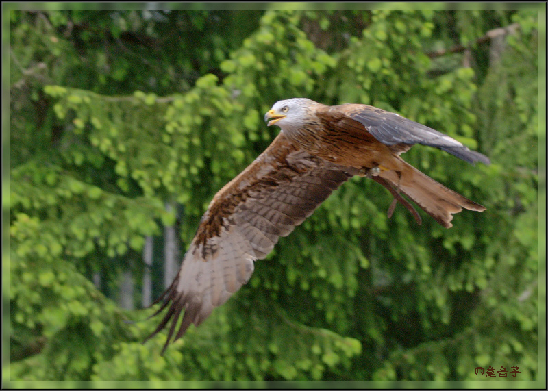 Und er fliegt wieder...