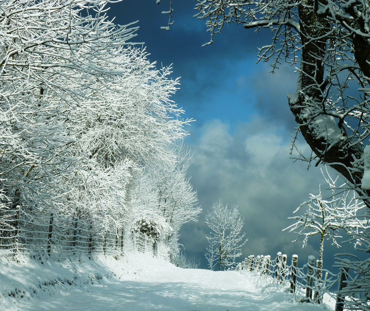 ...und er geht noch weiter - der Winter - so schön!