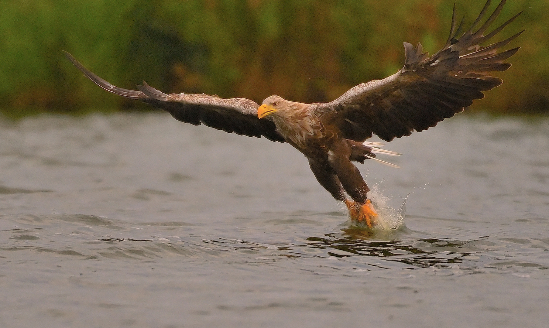 --und ER griff zu!