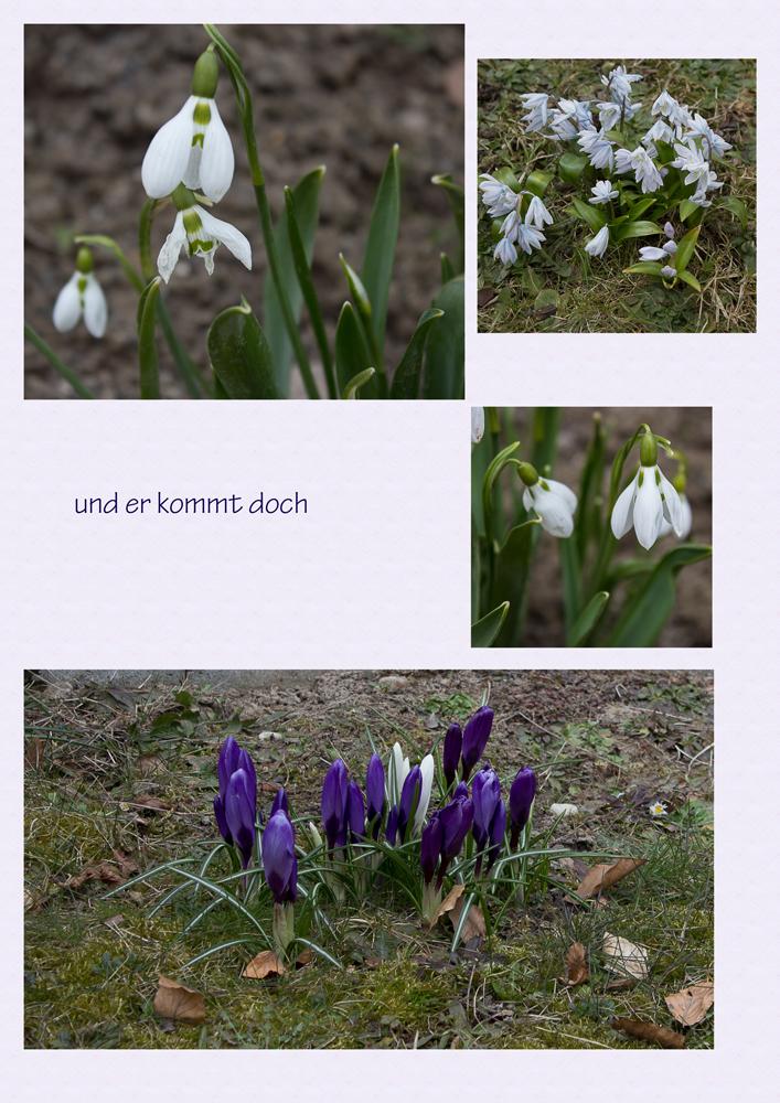 und er kommt doch: der Frühling