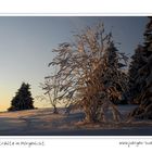 und erstrahlte im Morgenlicht