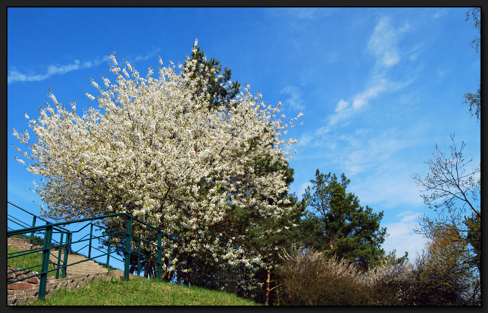 ...Und es ist Frühling...