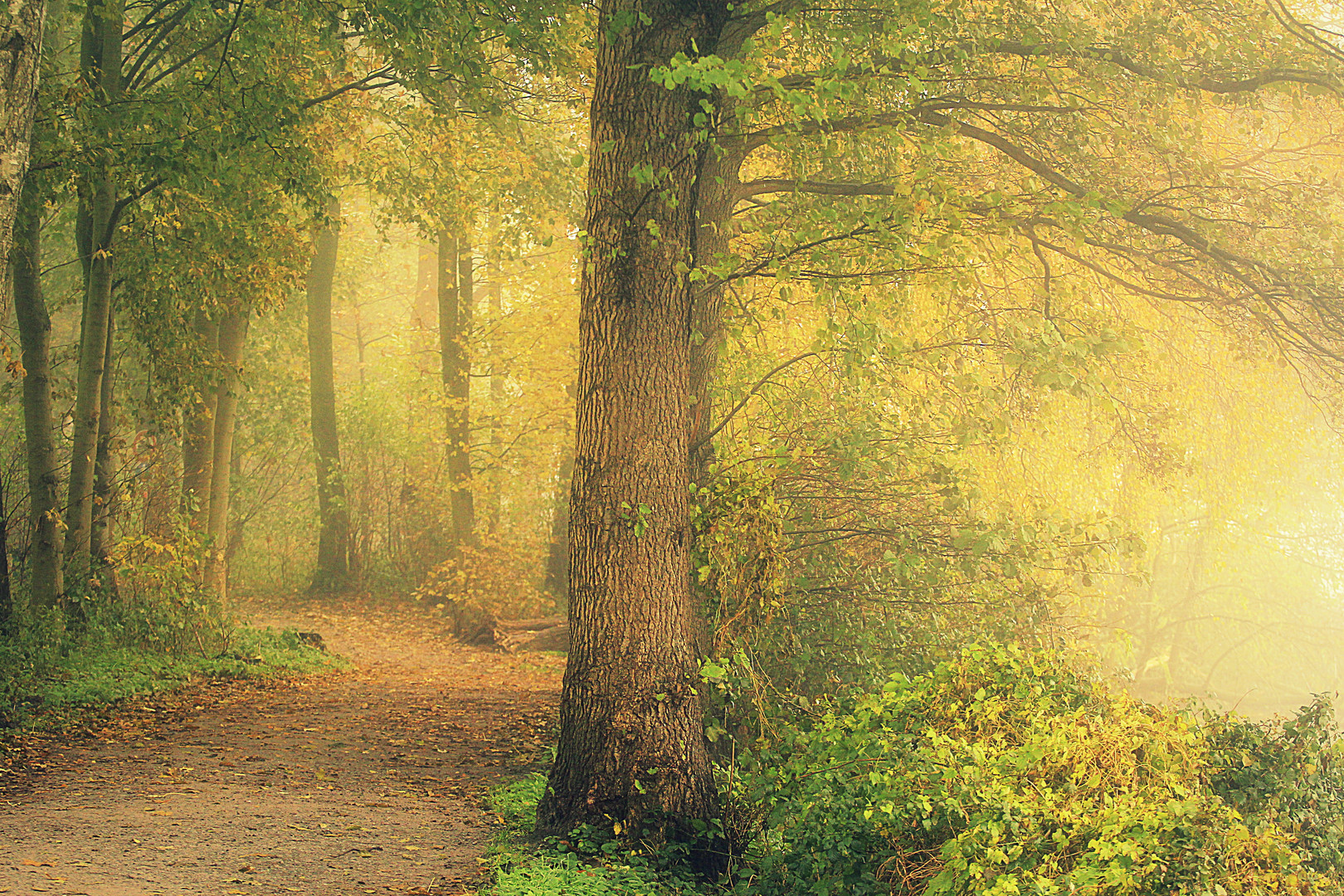 Und es ist Herbst