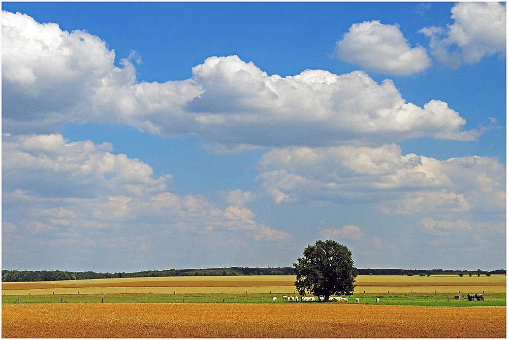 Und es ist Sommer...