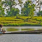 Und es schwimmt doch - gesehen in Costa Rica