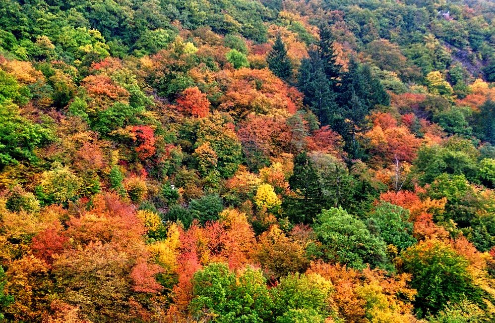 und es war Herbst