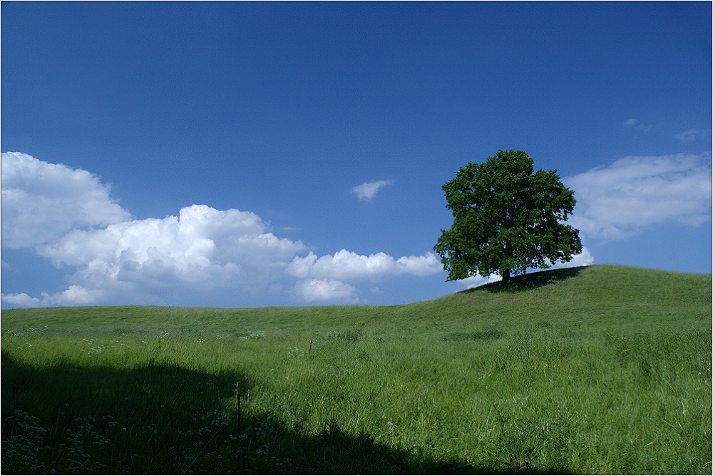 ... und es war Sommer