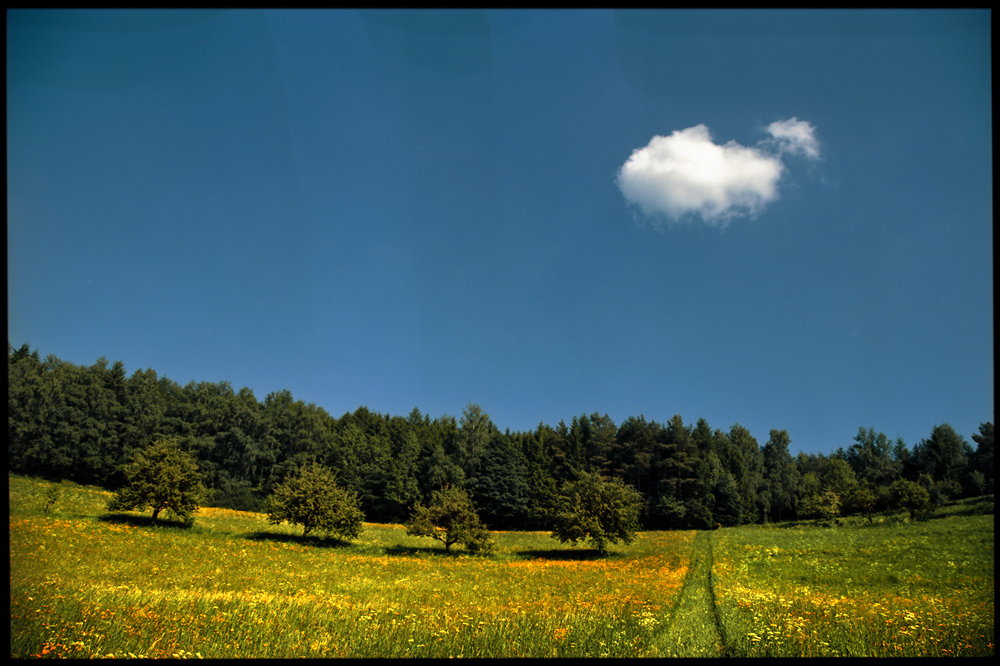 ... und es war Sommer.