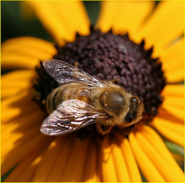 ... und es war Sommer