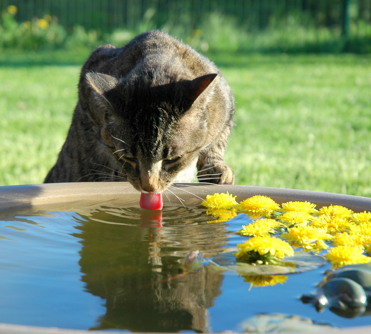 Und es war Sommer