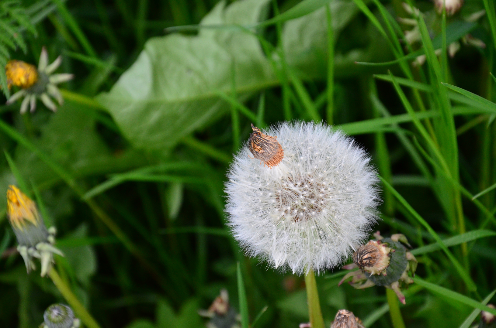 Und es war Sommer