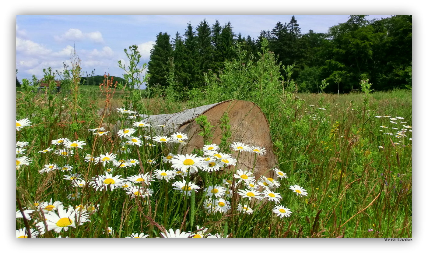 Und es war Sommer