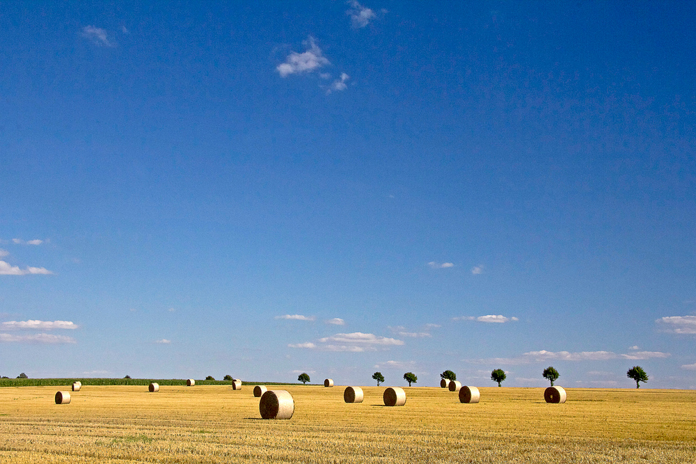 ...und es war Sommer III