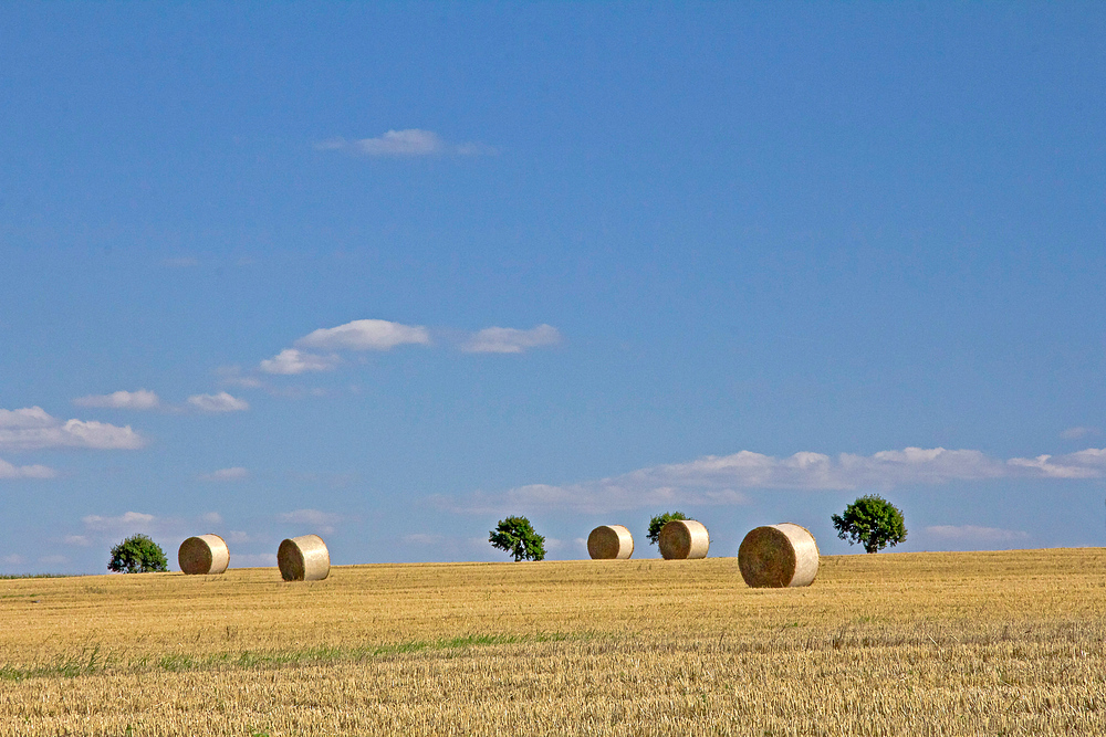 ...und es war Sommer IV