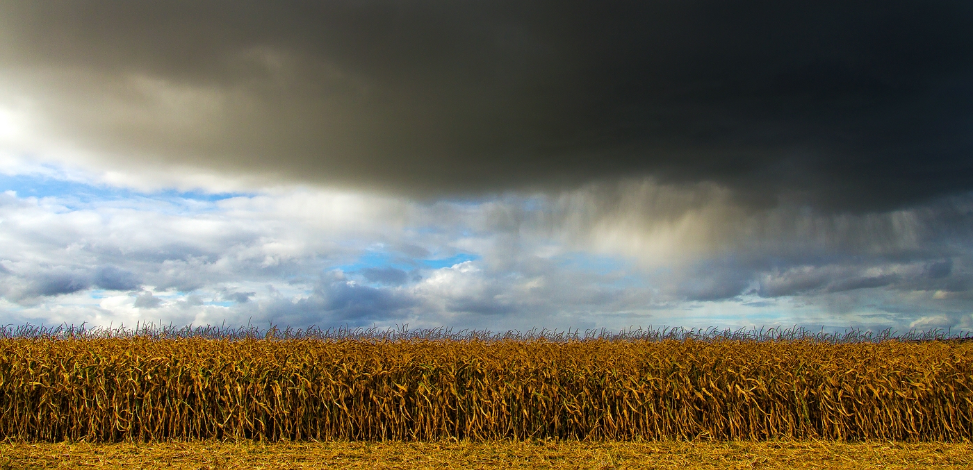 Und es ward Herbst