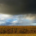 Und es ward Herbst