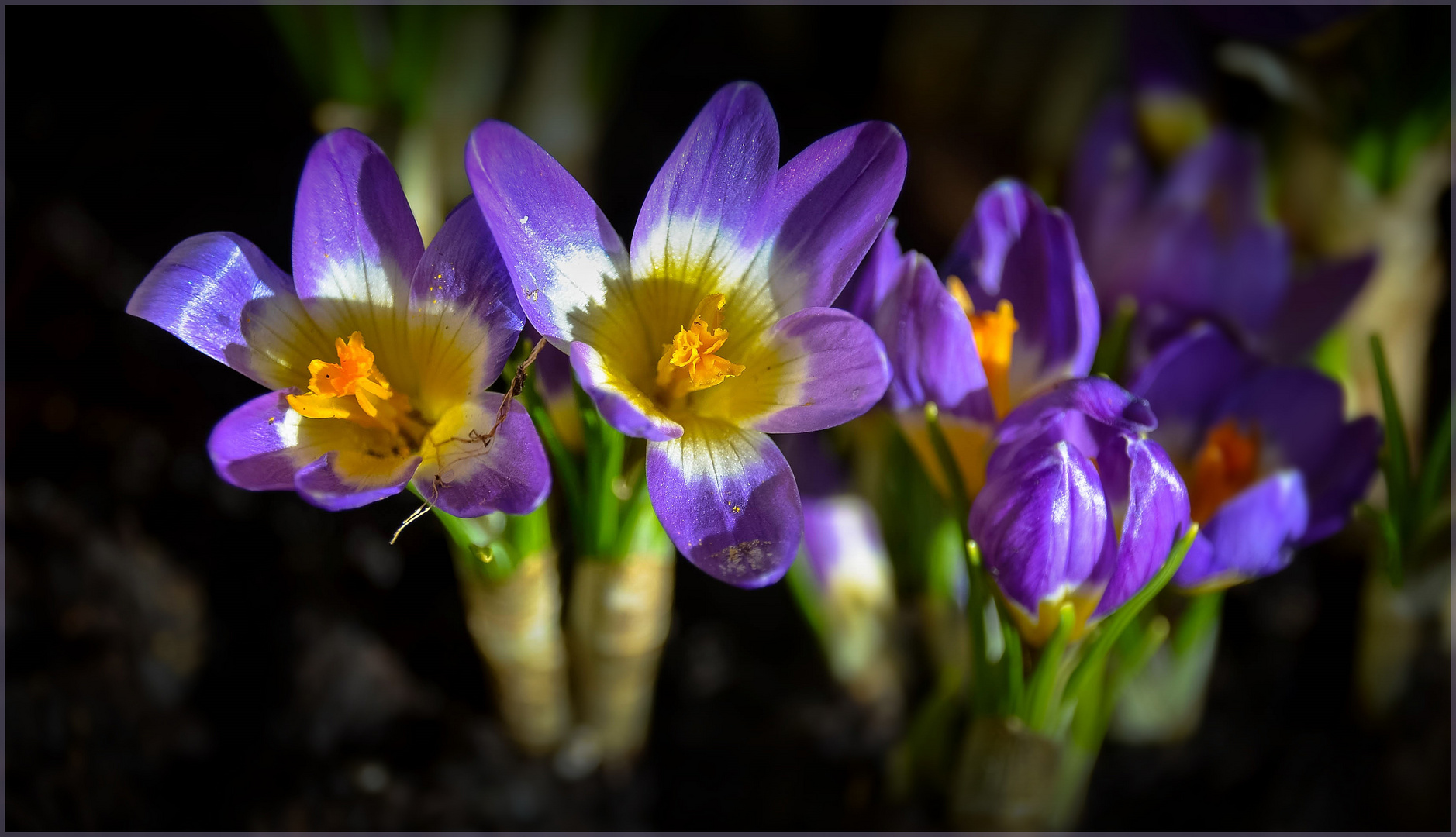 Und es werde Frühling!