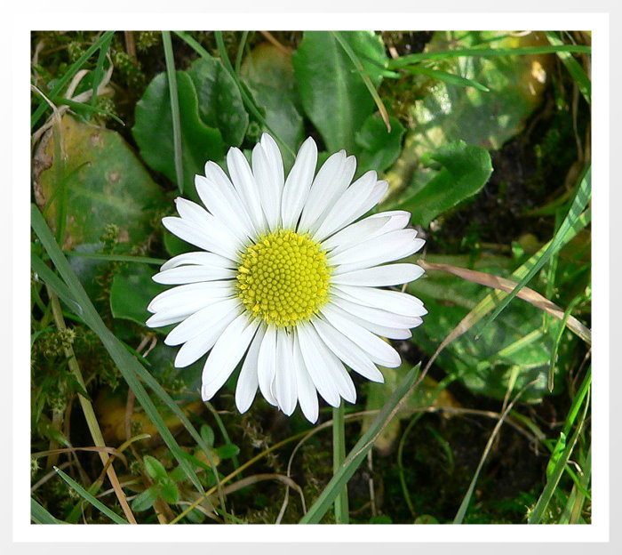 Und es wird doch Frühling!