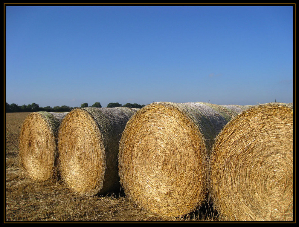 ... und es wird Herbst