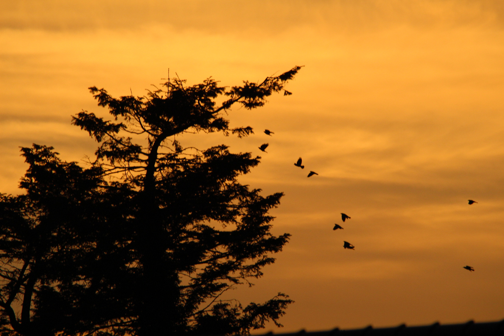 und es wird Nacht werden