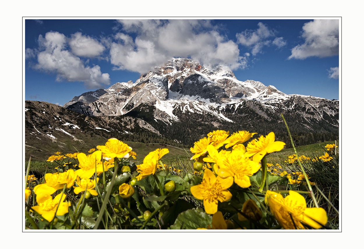 Und es wird Sommer