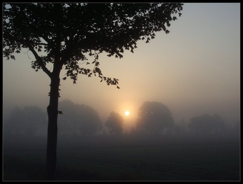 Und es wird wieder Herbst ..