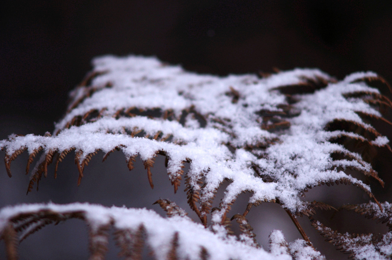 "und es wird Winter"