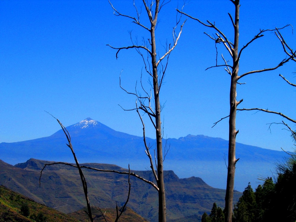 Und ewig grüßt der Teide ...