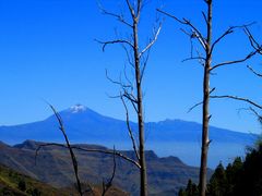 Und ewig grüßt der Teide ...