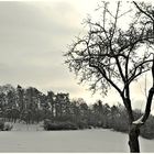 und ewig grüßt der Winter