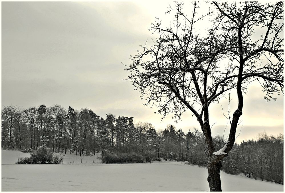 und ewig grüßt der Winter