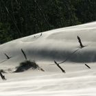 Und ewig weht der Sand 2, Wanderdünen bei &#321;eba, Polen