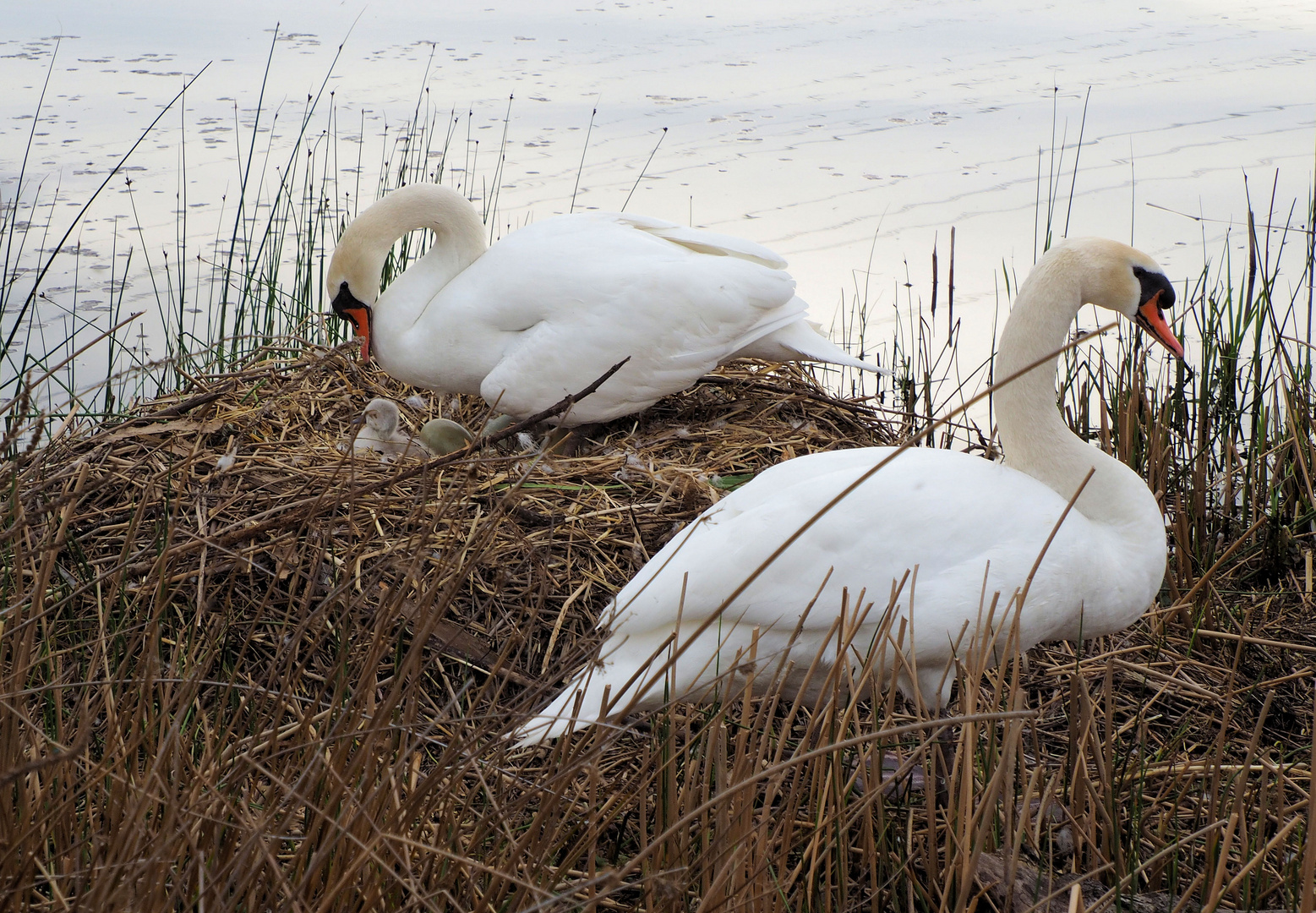 Und … Familienbild …. 