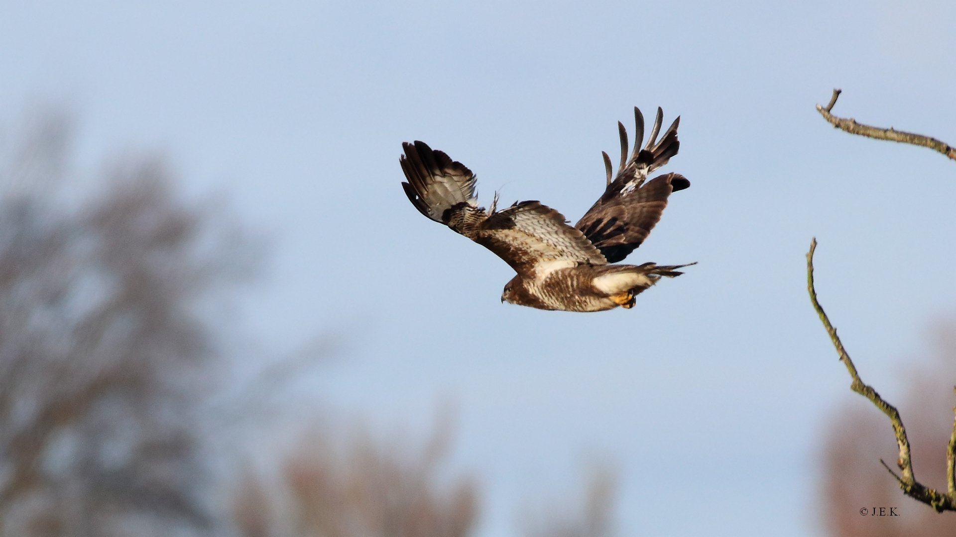 Und fliegt noch